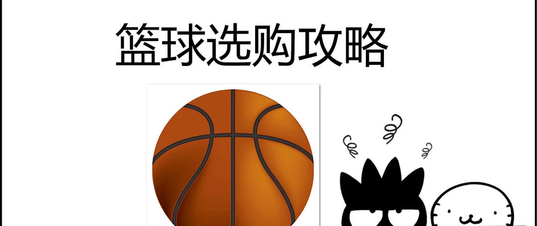 石家庄篮球训练营地址电话_2